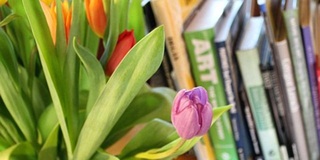 A-level留学须知：华威大学管理学专业的全面解析AOLevel考试资讯网_A-Level与O-Level考试培训网