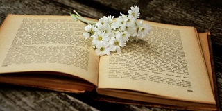 新加坡O水准预备课程培训介绍AOLevel考试资讯网_A-Level与O-Level考试培训网