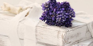 o-level留学资讯：带你了解英国留学的热门专业推荐AOLevel考试资讯网_A-Level与O-Level考试培训网