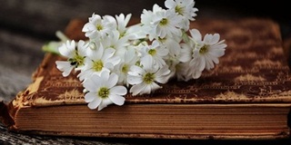 o-level资讯课堂：新加坡哪个私立学校考olevel好你知道吗AOLevel考试资讯网_A-Level与O-Level考试培训网