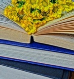 o-level留学须知：英国留学申请网申注意事项AOLevel考试资讯网_A-Level与O-Level考试培训网