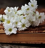 o-level留学资讯：新加坡留学o水准好考吗AOLevel考试资讯网_A-Level与O-Level考试培训网