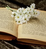 A-level留学资讯：英国留学想申请名校有哪些诀窍AOLevel考试资讯网_A-Level与O-Level考试培训网