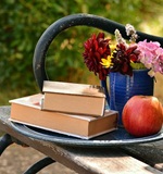 o-level资讯课堂：新加坡o水准的人文学科包含哪些AOLevel考试资讯网_A-Level与O-Level考试培训网