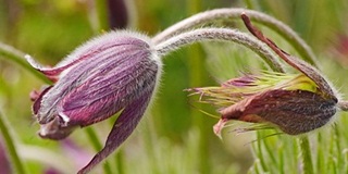 o-level留学资讯：英国的硕士留学四大申请要求须知AOLevel考试资讯网_A-Level与O-Level考试培训网