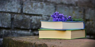 A-level留学须知：英国留学对数学有要求的专业有哪些AOLevel考试资讯网_A-Level与O-Level考试培训网