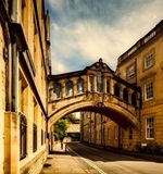 A-level资讯课堂：学习A-level的课程前景怎么样AOLevel考试资讯网_A-Level与O-Level考试培训网