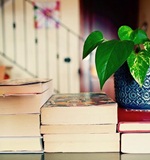 A-level留学须知：英国留学的这些日常开销你需要知道AOLevel考试资讯网_A-Level与O-Level考试培训网