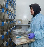 A-level留学须知：英国名校最看重的三大成绩是什么AOLevel考试资讯网_A-Level与O-Level考试培训网