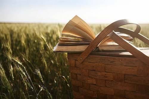 A-level经济中的Free Goods与Economic Goods