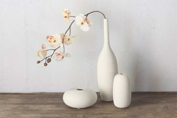 O-level必考科目——注意事项和建议