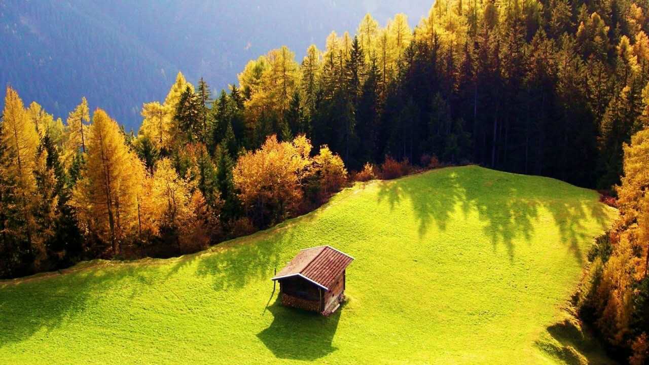 A-level生物学专业术语词缀（三）