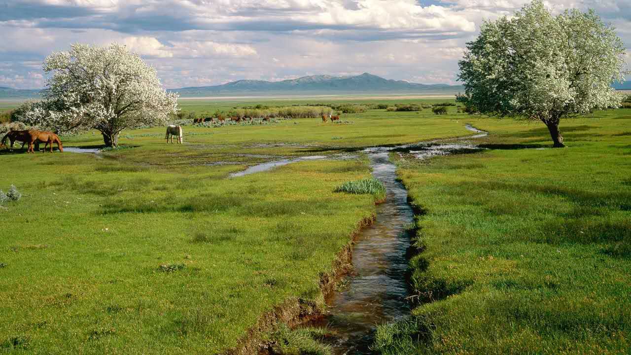 A-level生物学专业术语词缀（三）