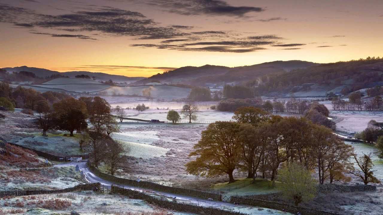 A-level考试与预科有何区别？