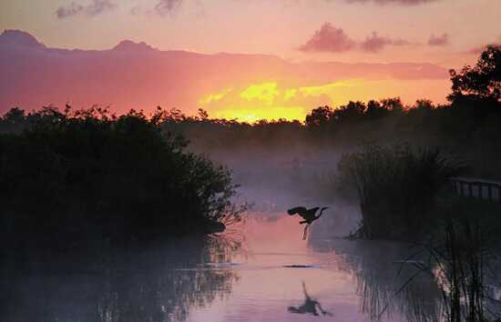 A-level化学考试试卷分析