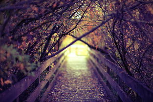 A-level经济学——垄断竞争