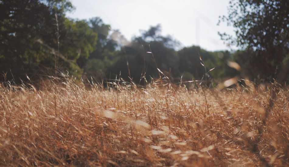 你对A-level课程有哪些误解？