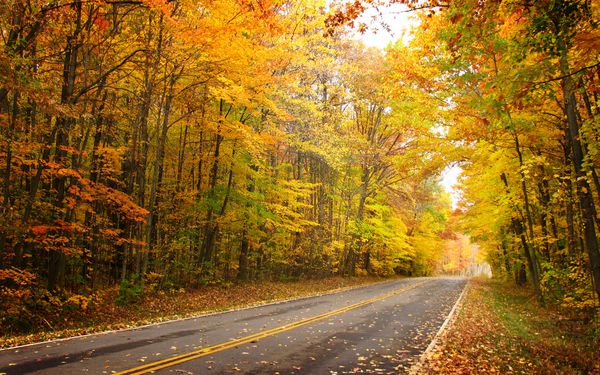 A-level宏观经济中的各种指标你都知道吗？