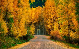 A-level数学——统计S1内容归纳