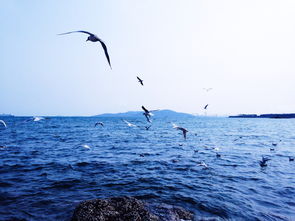 A-level化学如此难，你该怎么学?