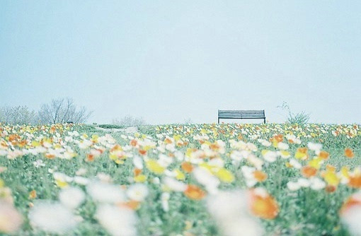 A-level数学如何才能拿到高分？