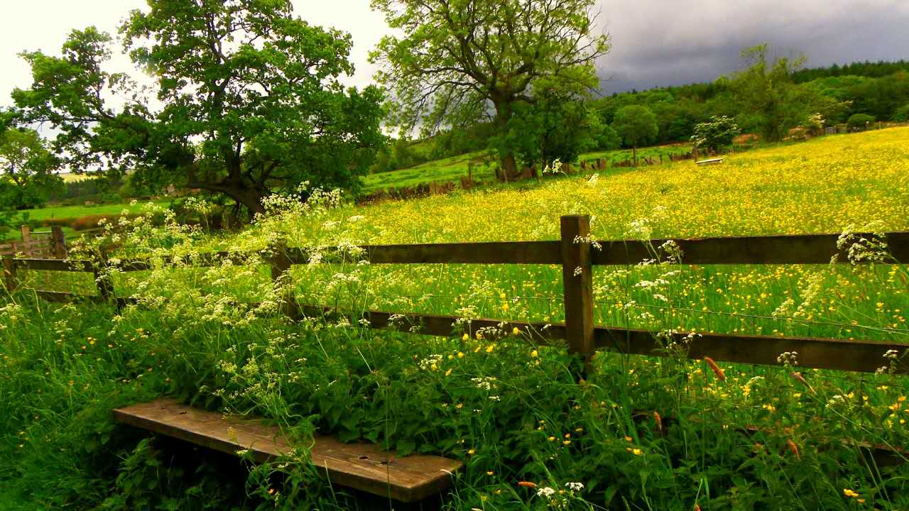 A-Level成绩申请2017年英国大学本科全攻略