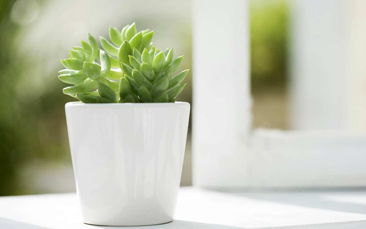 A-Level课程：艺术与设计