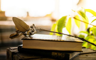 A Level后英国大学补录查询方式