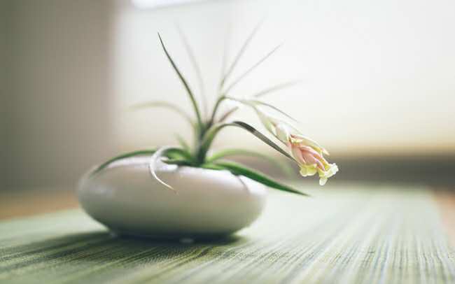 A-Level考试：AS成绩不重要？不存在的!