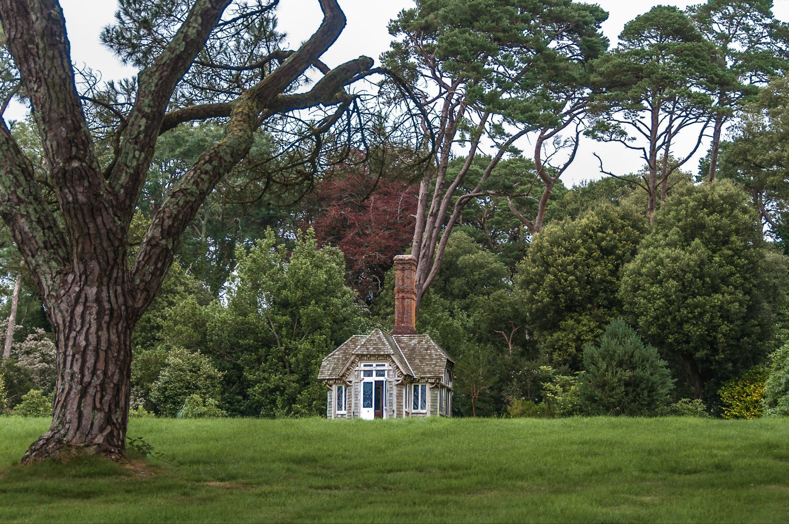 上海Alevel课程培训