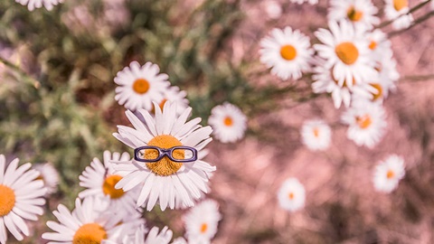 A-level成绩决定着什么？