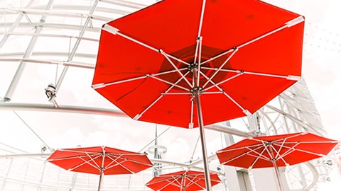 GCE 'O' Level后的去向选择