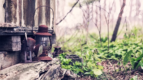 寄宿家庭提升好感度的方式