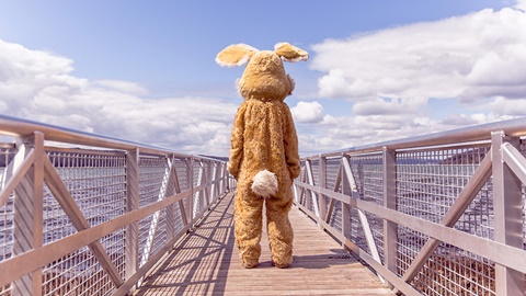 A-level常识性问题