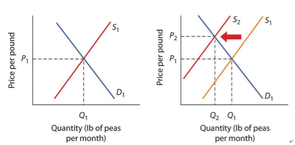 A-level经济Unit 1考试中最常画的图