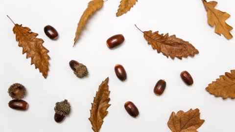 A-Level,经济学,答题技巧