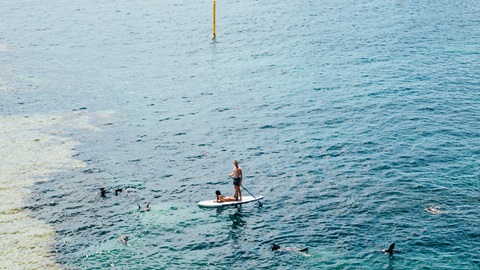 A-level,选择学校