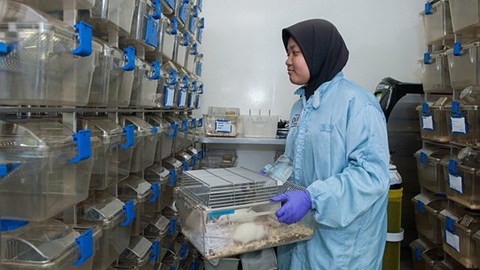 alevel中文考试,alevel考试重点,alevel地理