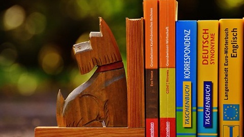 alevel考试内容,alevel单词,alevel中文难度