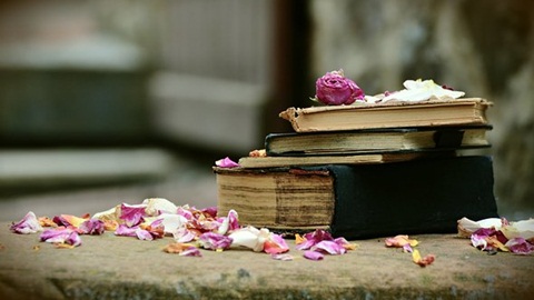 alevel考什么,alevel法律备考,alevel会计