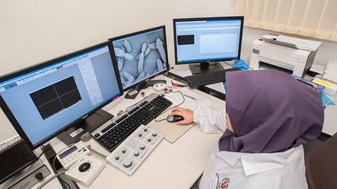 olevel考试是什么,o-level的录取率,olevel考试成绩查询