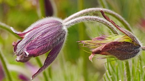 alevel试题,alevel考试培训,alevel考试内容