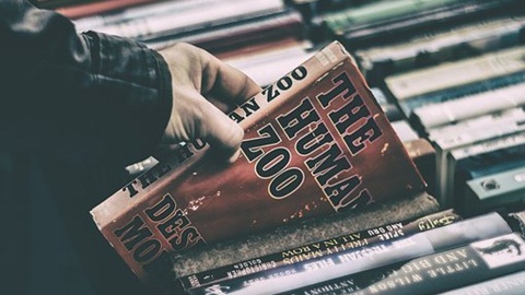 olevel考试报名费,olevel报名官网,olevel培训班