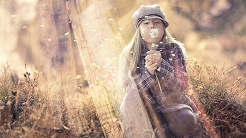 英国alevel教材,a水准考试,alevel备考建议