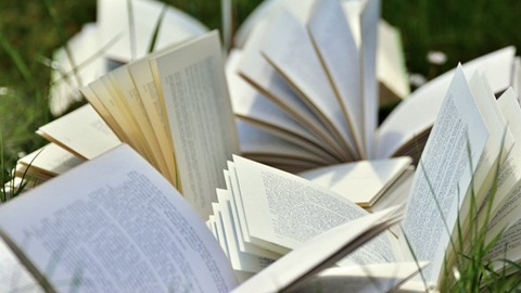 alevel生物,alevel数学试卷,alevel商科