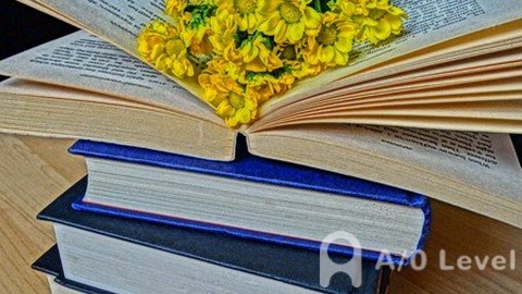 新加坡管理发展学院申请流程