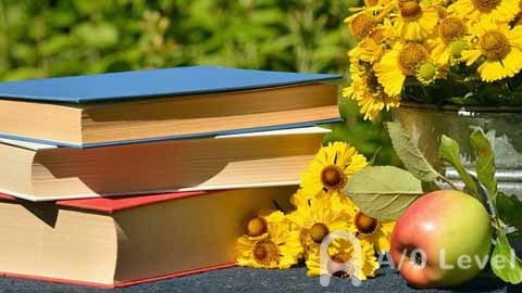 如何用A-Level成绩申请美国大学？