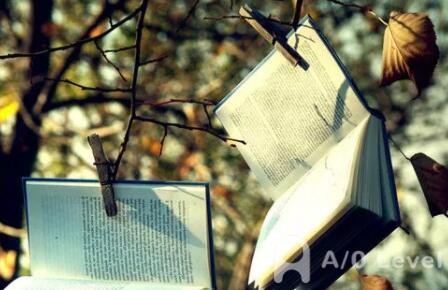 A-level数学考试备考方法大汇总