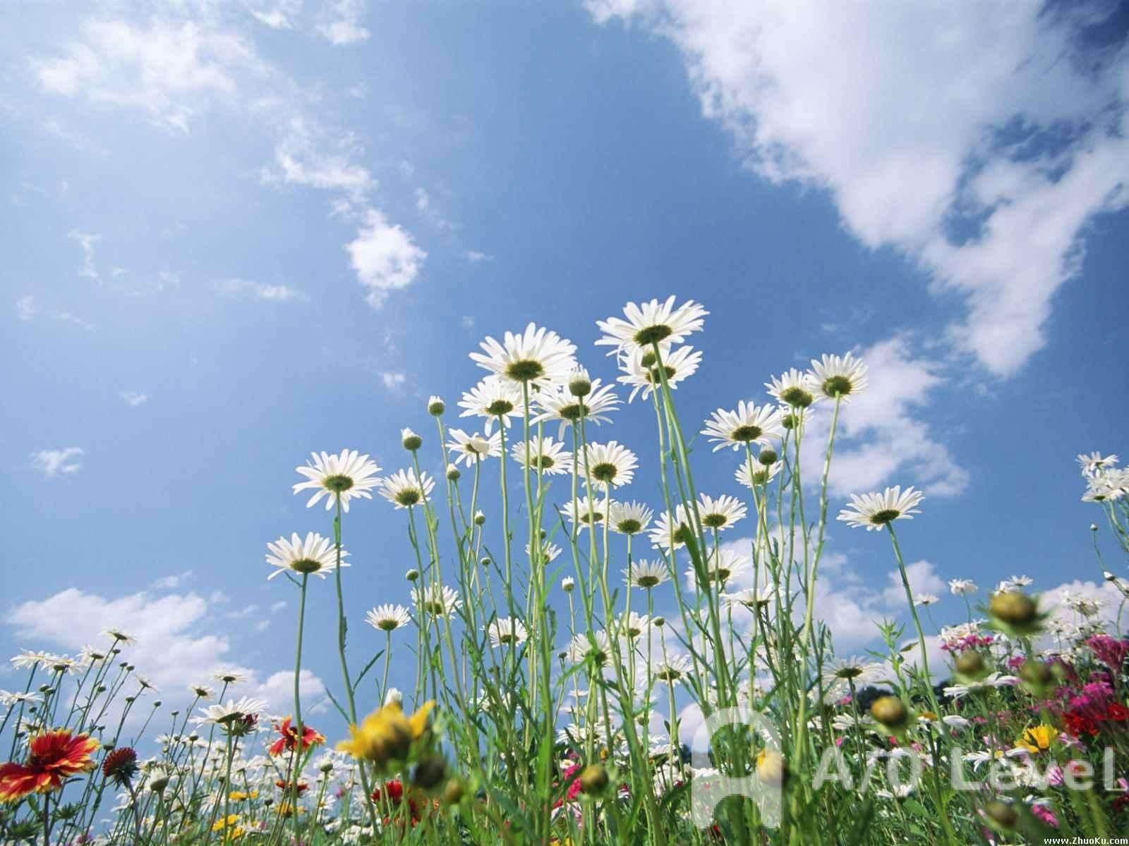 A-Level经济考试四大得分点