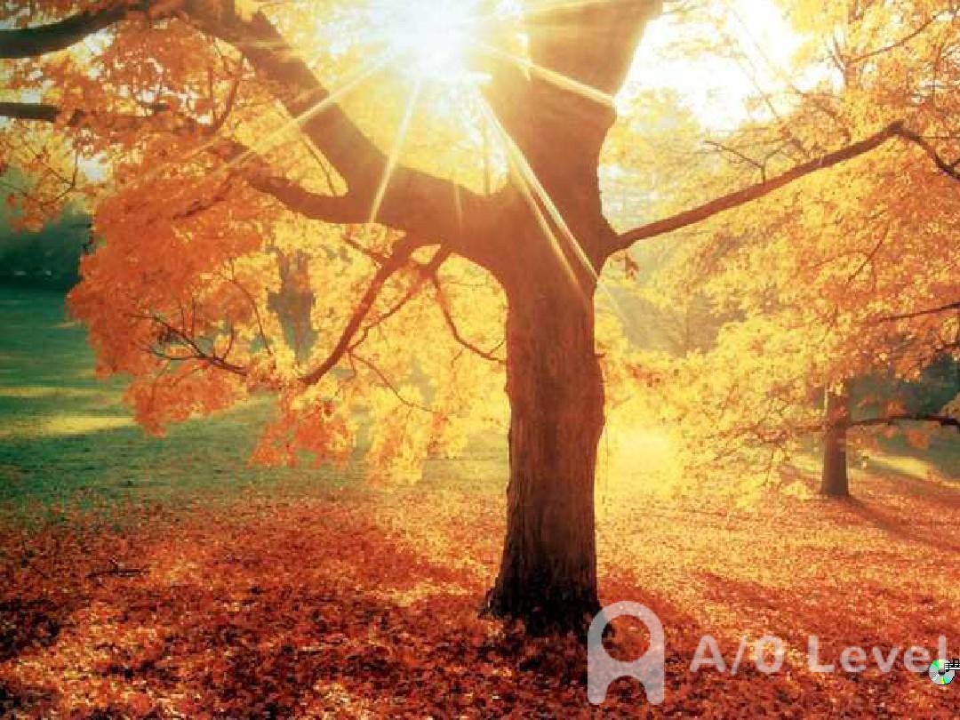 A-Level生物考试知识点汇总